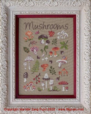 画像1: Mushrooms