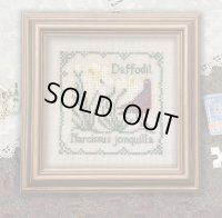 BOTANICAL STITCHES Narcissus jonquilla - Daffodil