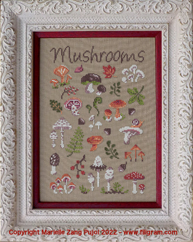 画像1: Mushrooms